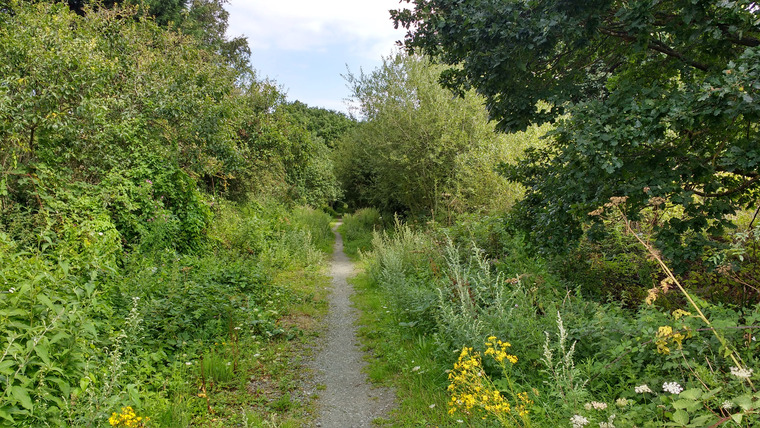 Blackwater Rail Trail